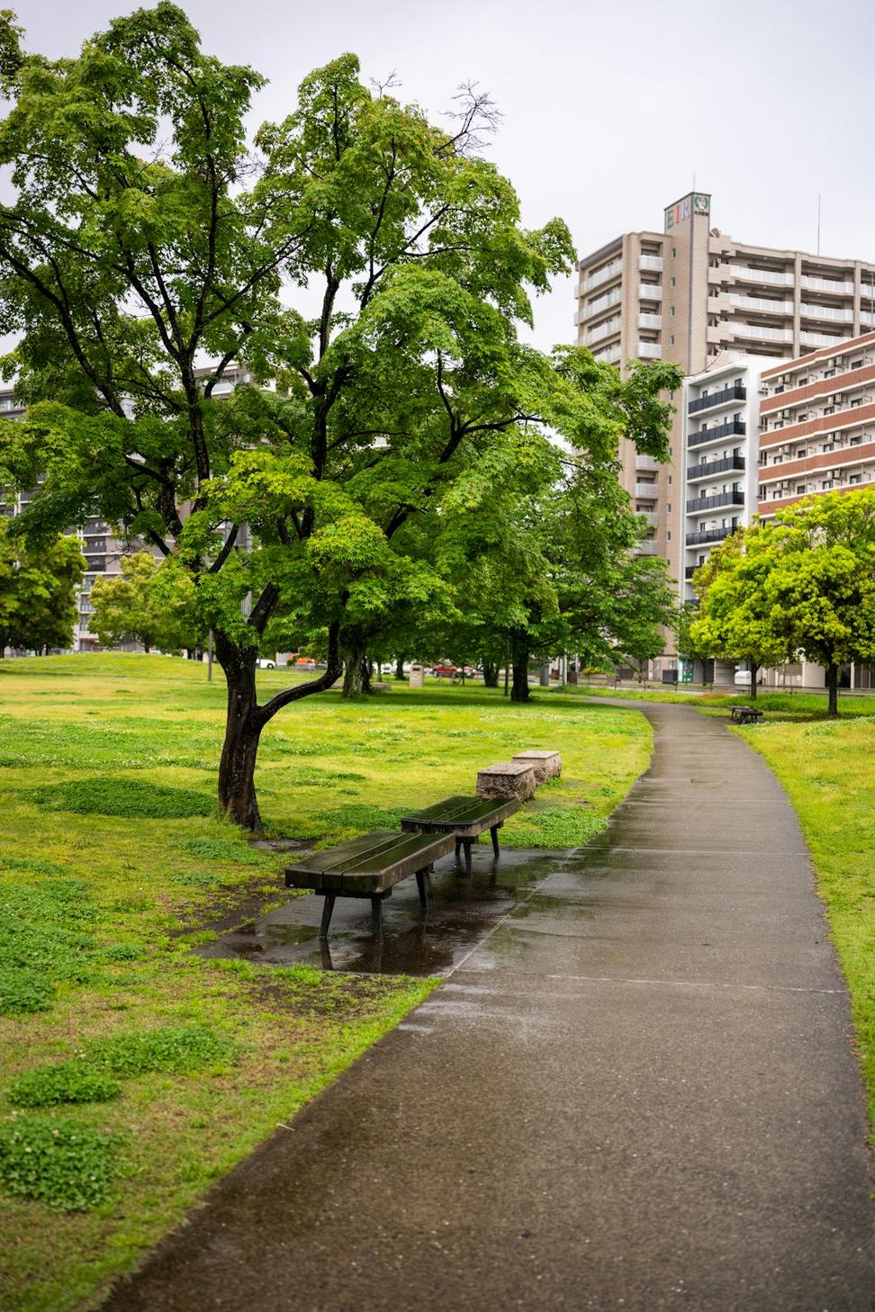 East End Community Garden