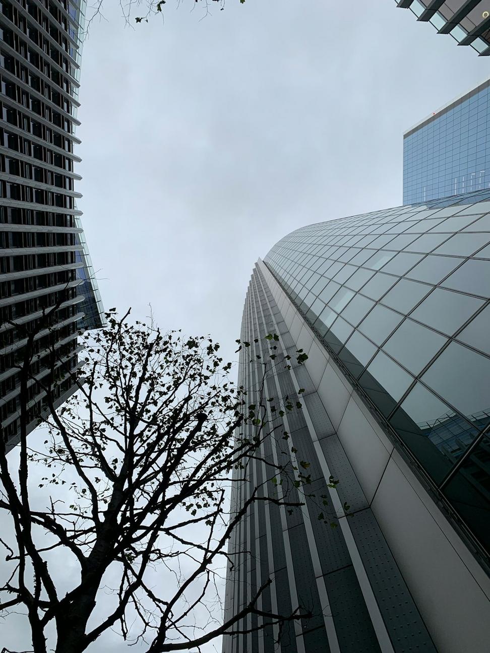 Our Toronto Office